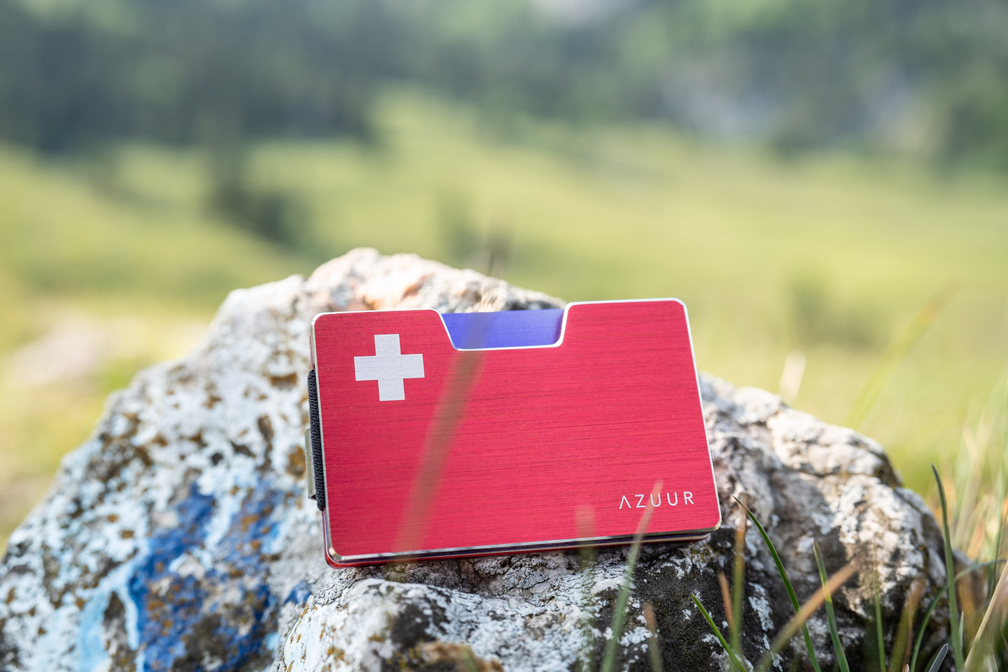 Kreditkartenetui Swiss Edition - The Swiss